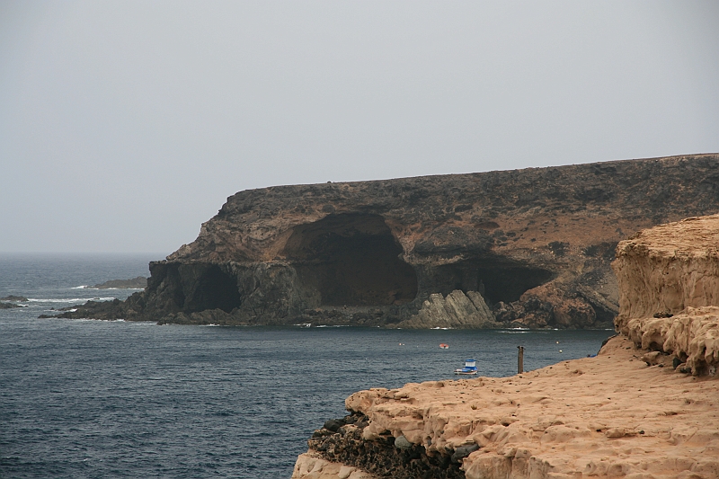 Kanary_2010 017